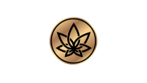3C